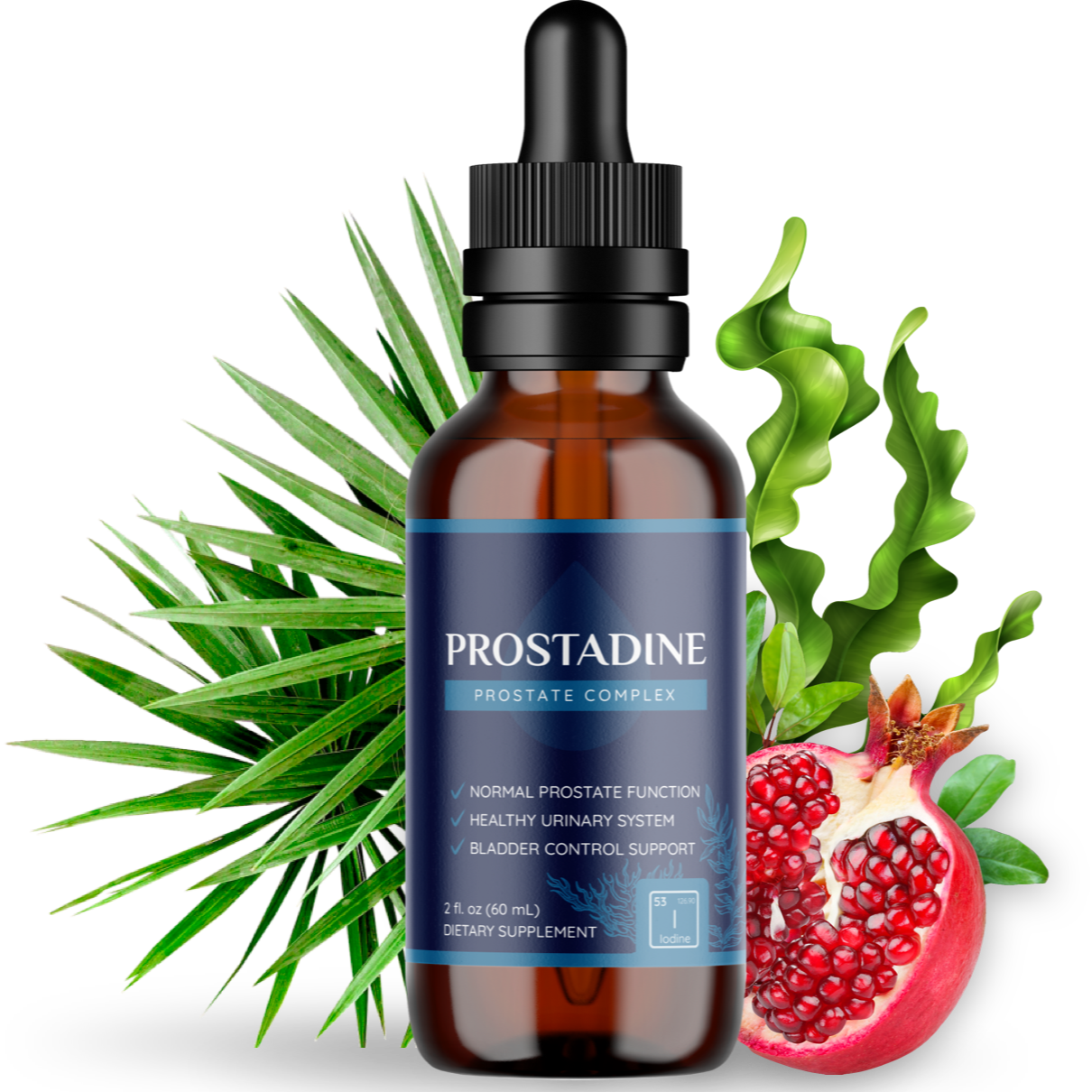 Prostadine™: The Natural Solution to Support a Healthy, Toxin-Free Prostate
